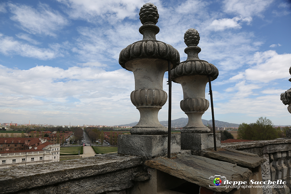 VBS_6004 - Sotto il Cervo - Palazzina di Caccia di Stupinigi.jpg